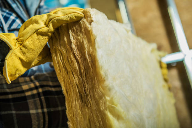 Best Professional Insulation Contractor  in Shanor Northvue, PA