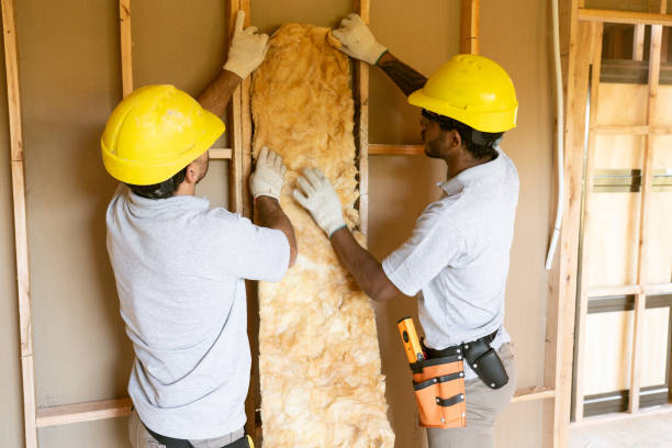 Best Insulation Contractors for Homes  in Shanor Northvue, PA