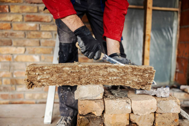 Best Cellulose Insulation  in Shanor Northvue, PA