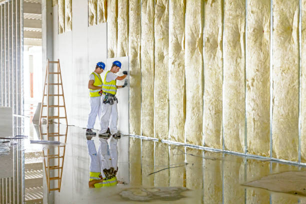 Best Soundproof Insulation Installation  in Shanor Northvue, PA